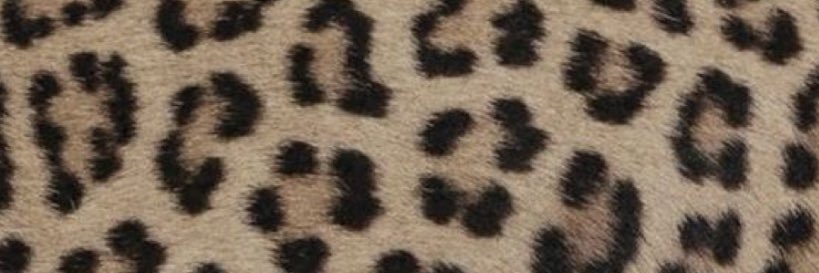 Meks_World's profile banner image