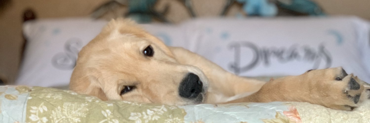 katyjbarnes's profile banner image