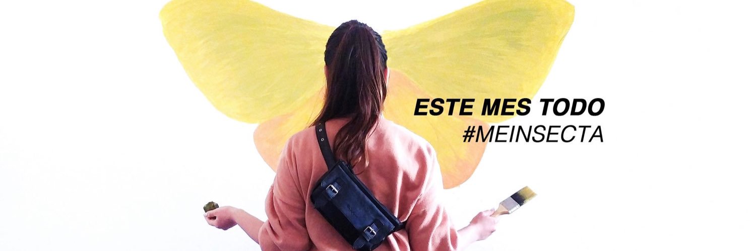 InsectaOficial's profile banner image