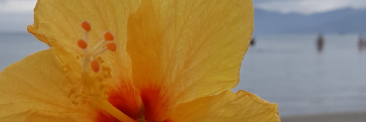 marfeyeka's profile banner image