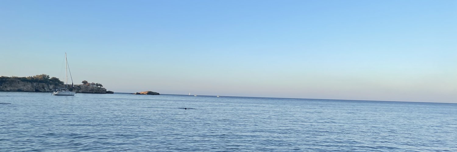 Farraluque banner