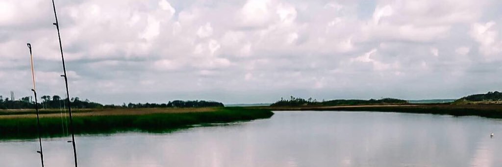 MacieKendall's profile banner image