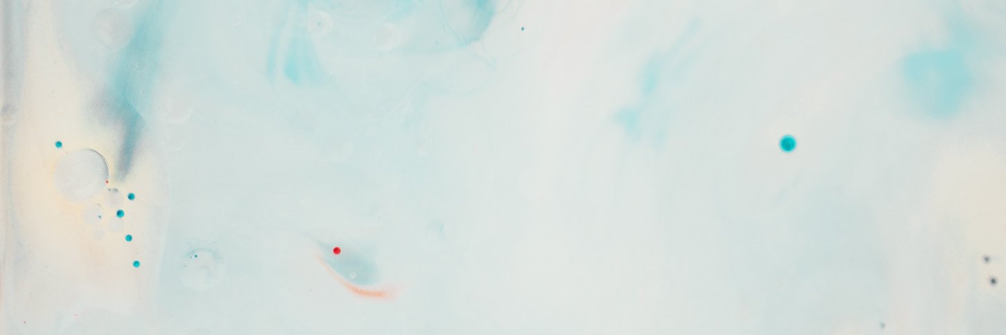 evalbors banner
