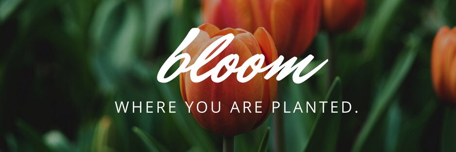 stephaniemacfit's profile banner image