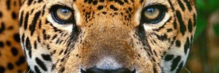 Danni_mG's profile banner image