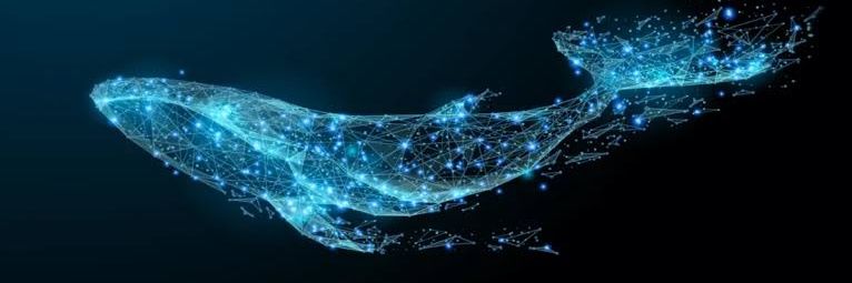 Indian_Bitcoin's profile banner image