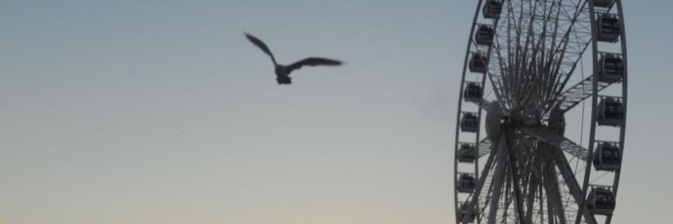 Mel_Martinez26's profile banner image