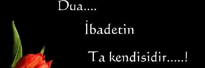 VeterinerHekim banner