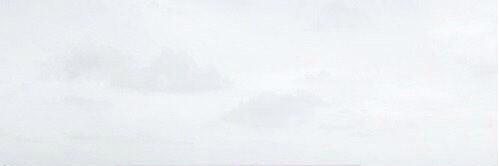 MotavatorDaisy's profile banner image