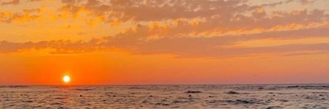 __dacr's profile banner image