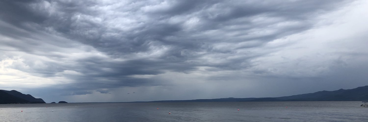 Christian Hansen banner