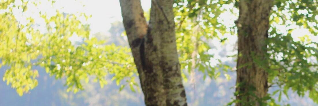 ofcjenna's profile banner image