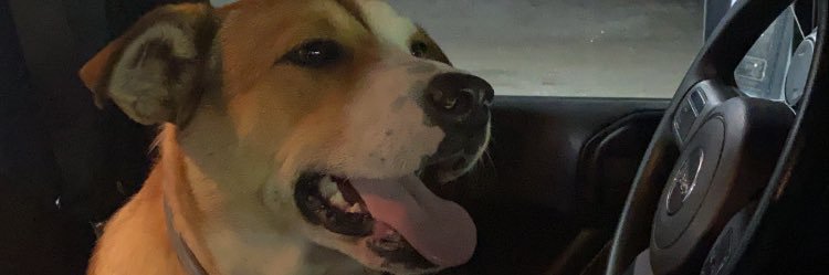 NakiaNkai's profile banner image