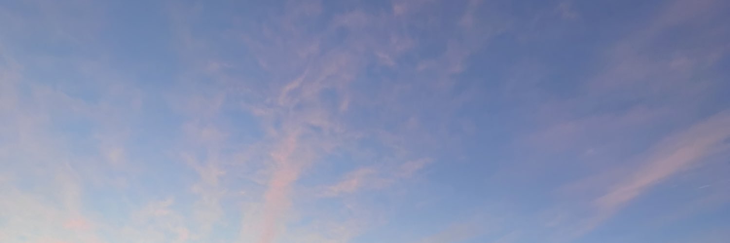 maracevess's profile banner image