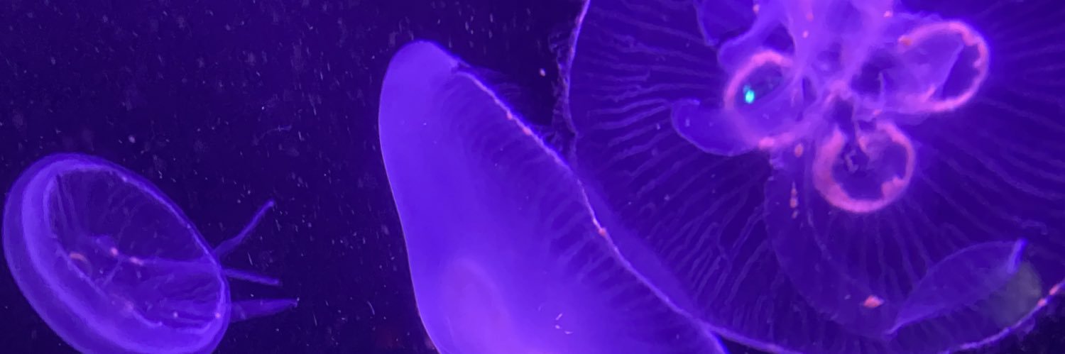 NealyJane's profile banner image