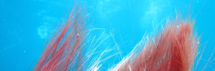 yude_egg0's profile banner image