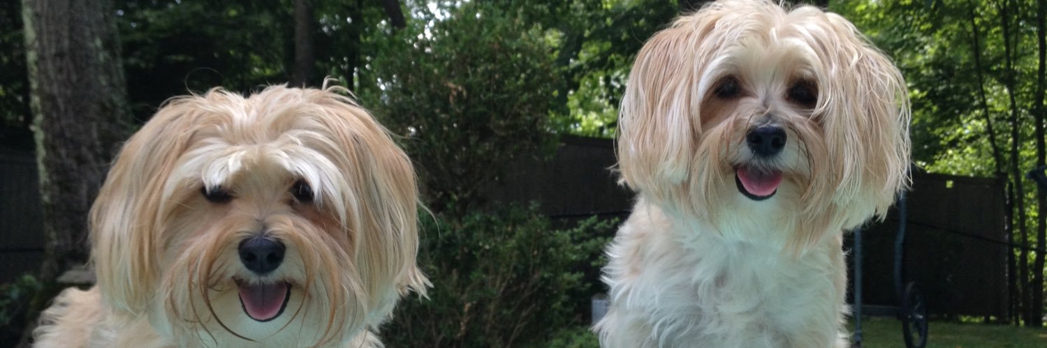 hanaasmom's profile banner image