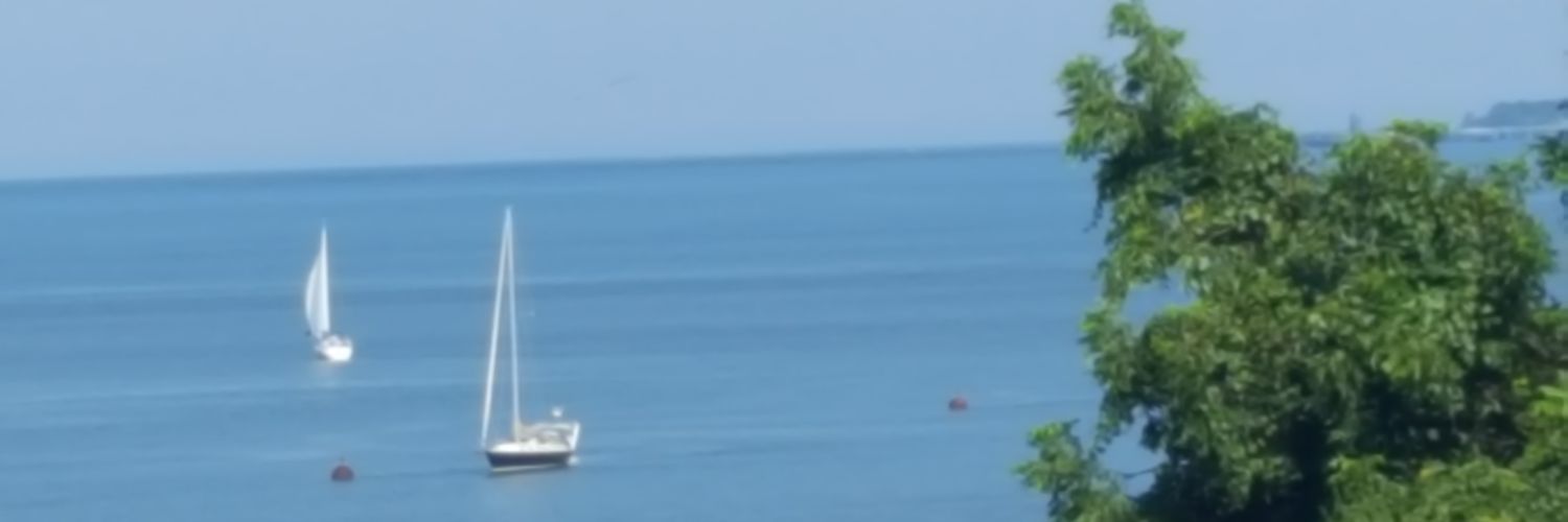 author234's profile banner image