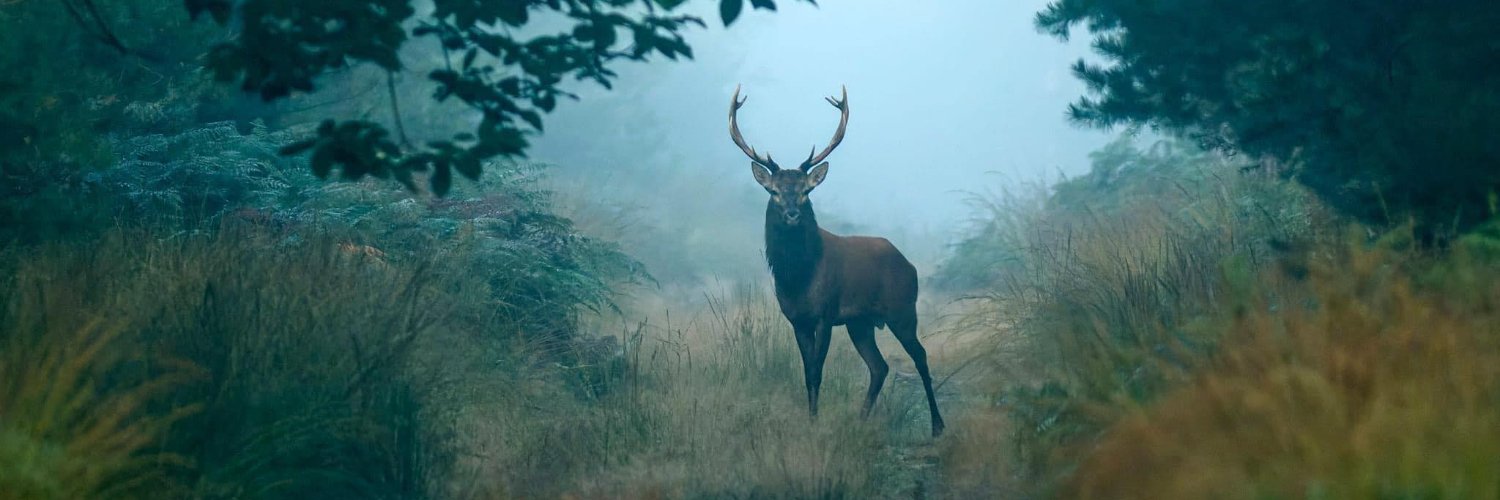 jbbaudat's profile banner image