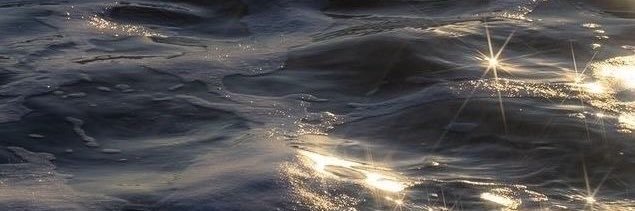 wwyynne's profile banner image