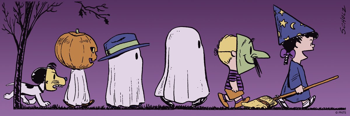 maowang01's profile banner image