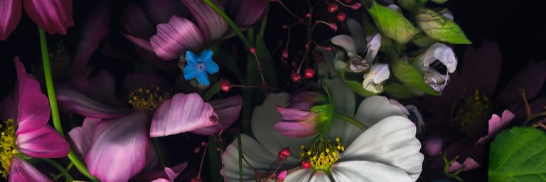 June Fardey banner
