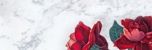 mariapradar's profile banner image