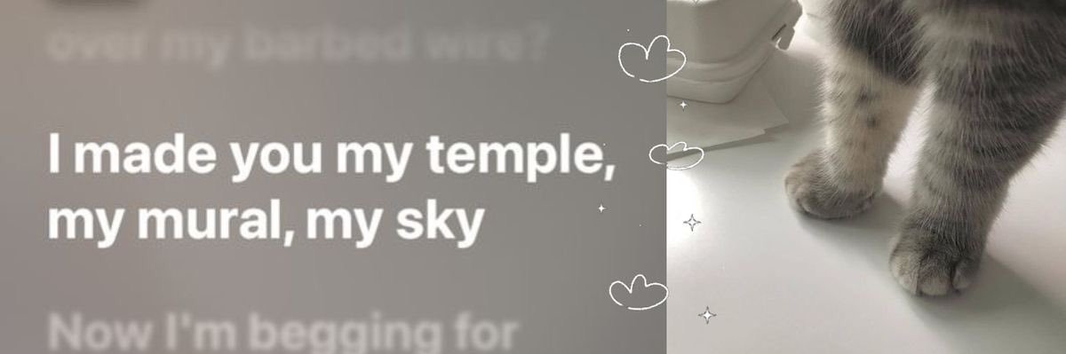sqooishy's profile banner image