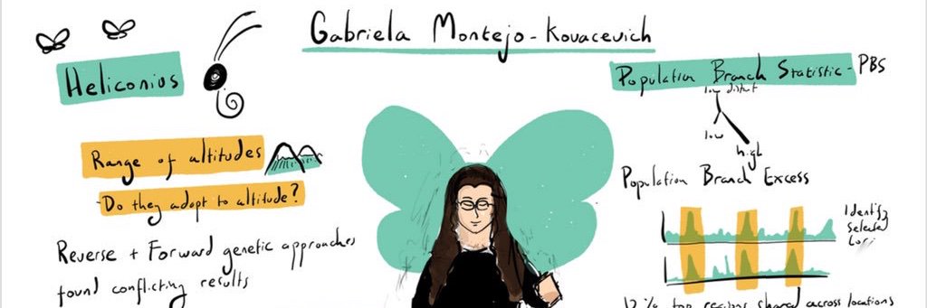 Gabriela Montejo-Kovacevich 🇪🇺 banner