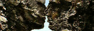 balogun_abiola2's profile banner image