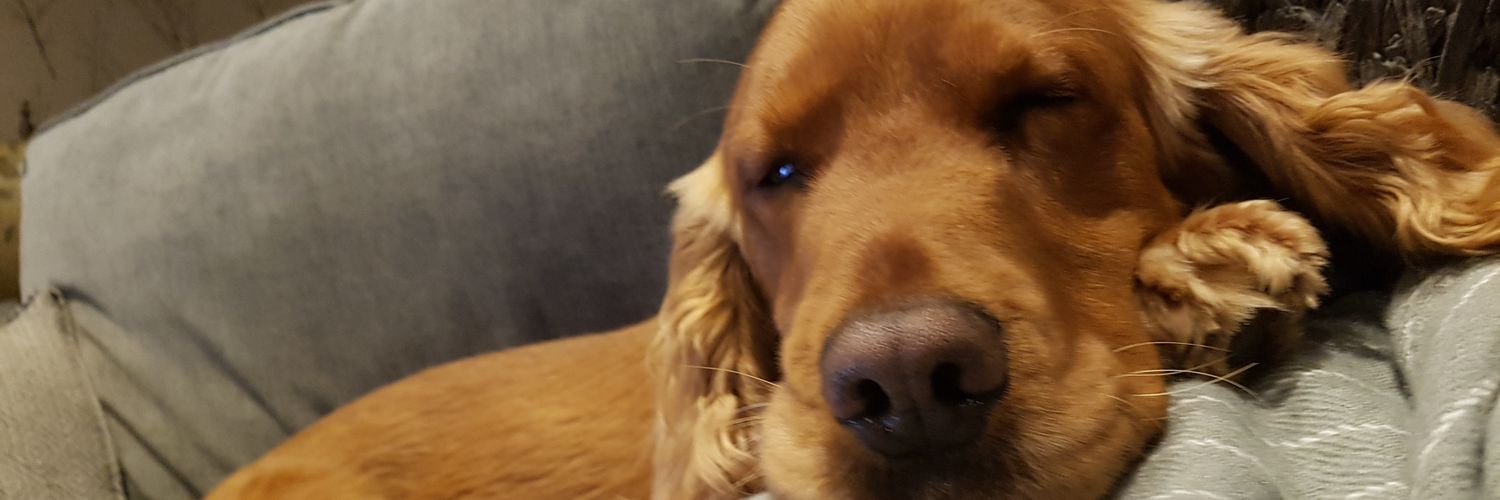 BenPitts4's profile banner image