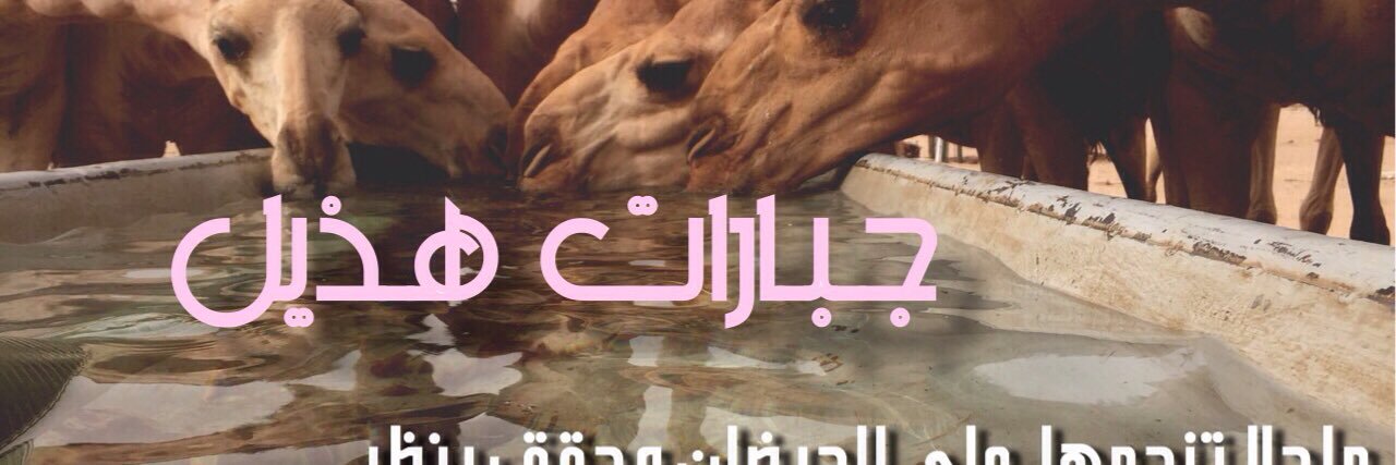 qwe1234asd1's profile banner image