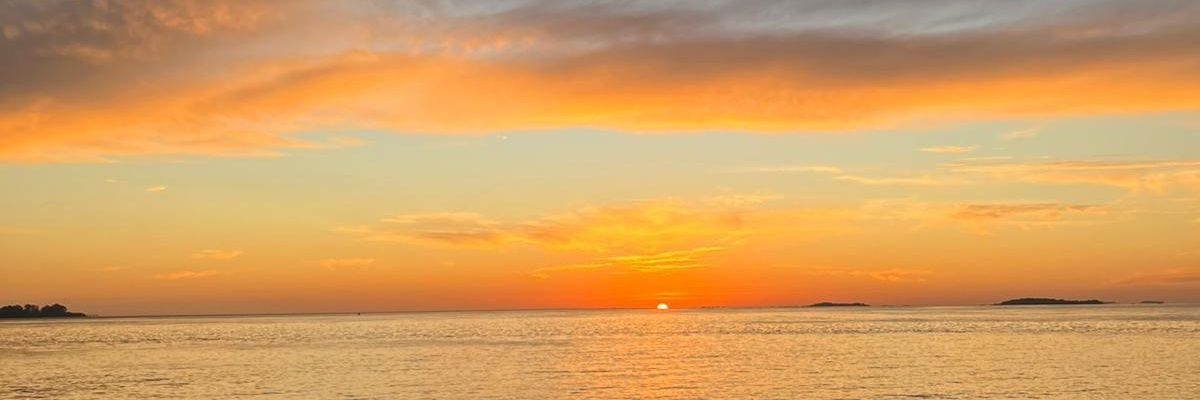 0_guyu's profile banner image