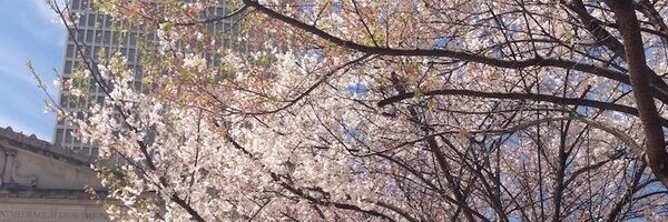 bRSevigny Profile Banner