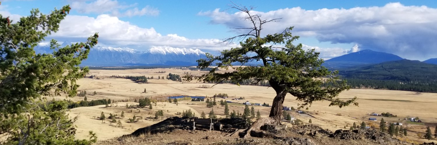 Mark Schroeter 🍁 banner