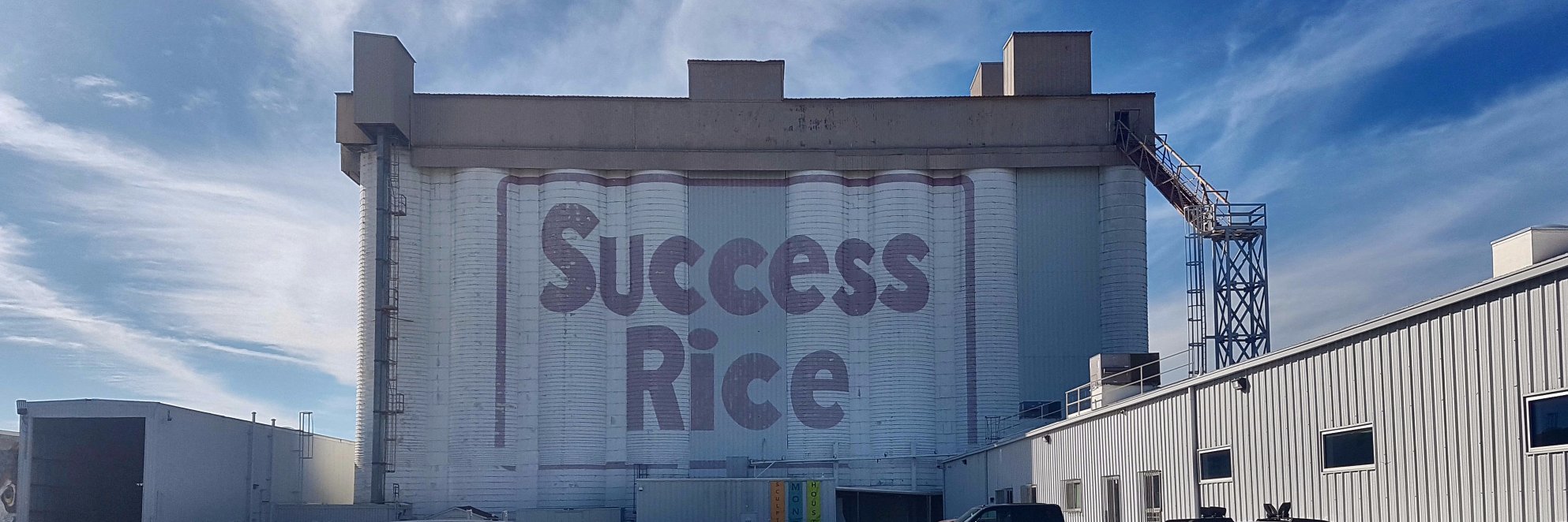 Christopher Rice banner