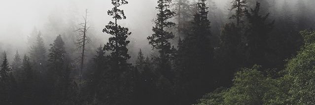 Monseheva's profile banner image