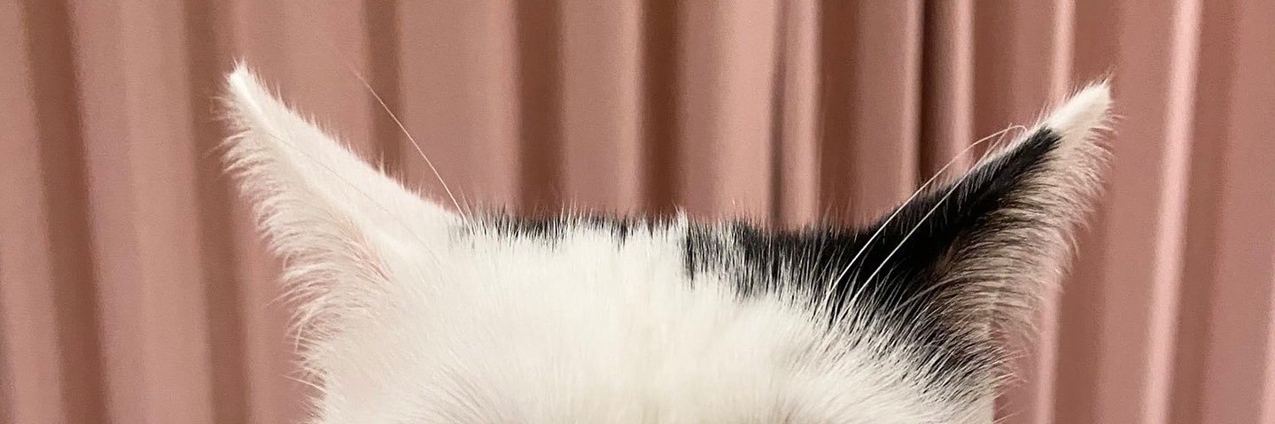 funch__'s profile banner image