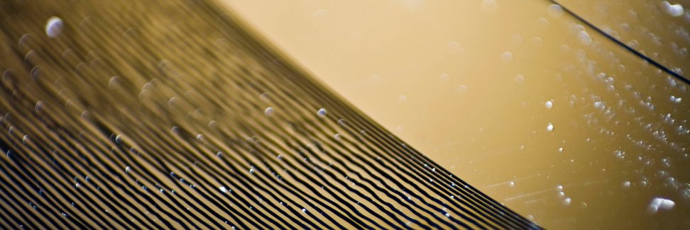 stlaurentrecord's profile banner image