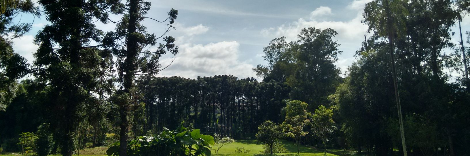 LocutorHill's profile banner image