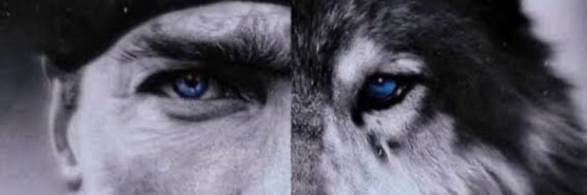 elezba's profile banner image