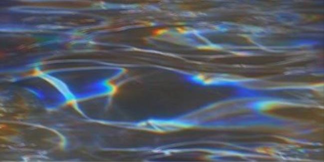 Requin Chagrin banner