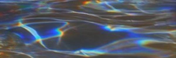 Requin_Chagrin Profile Banner
