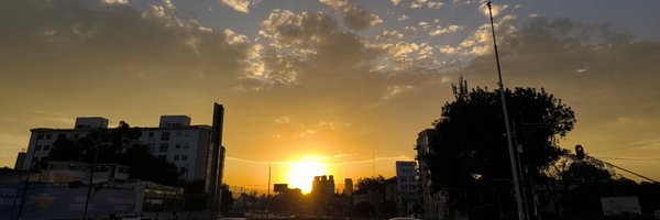 lammgs Profile Banner