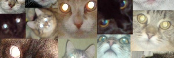 UnstableBastard's profile banner image
