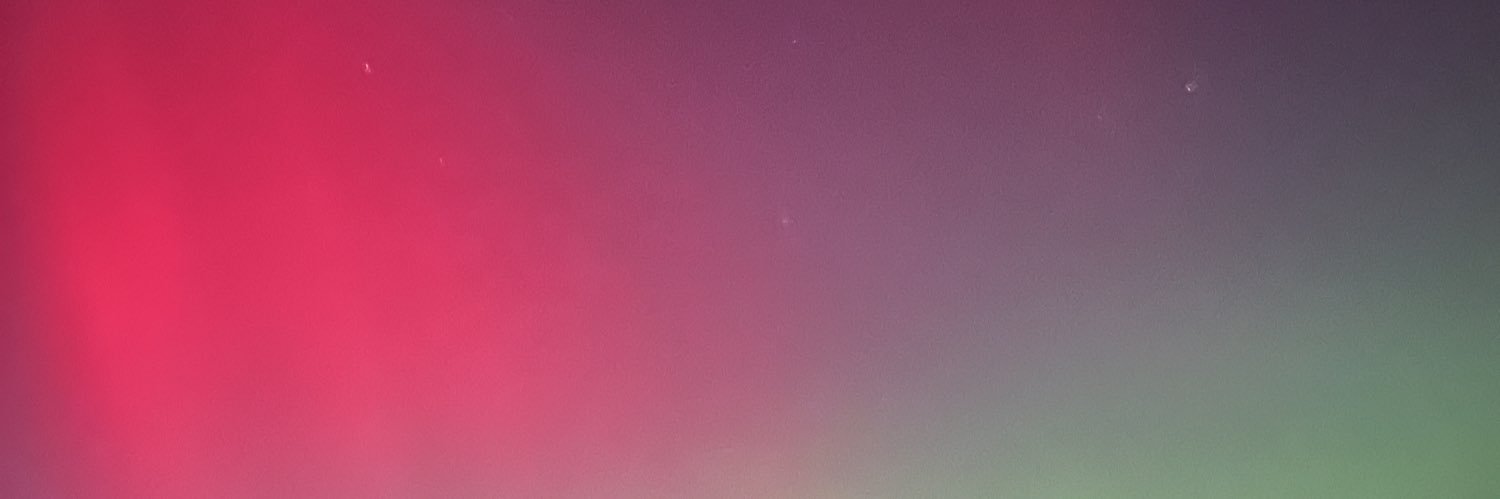 MegsKirik's profile banner image