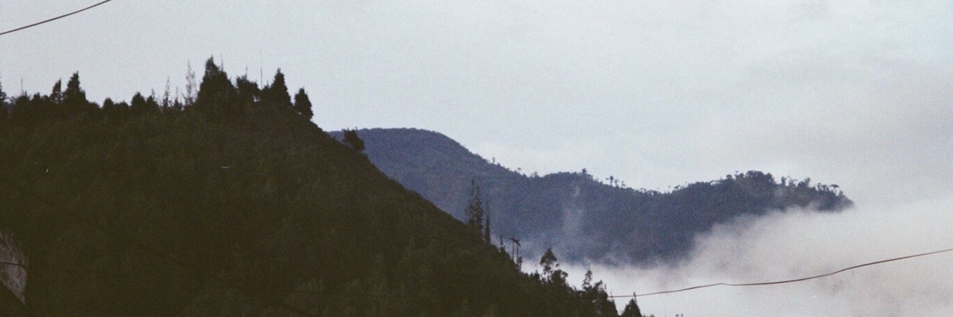 larabaxter's profile banner image