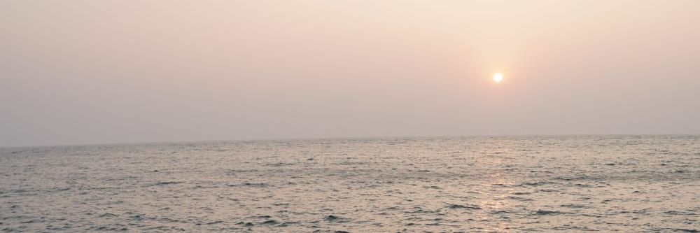 NJavalkoti's profile banner image