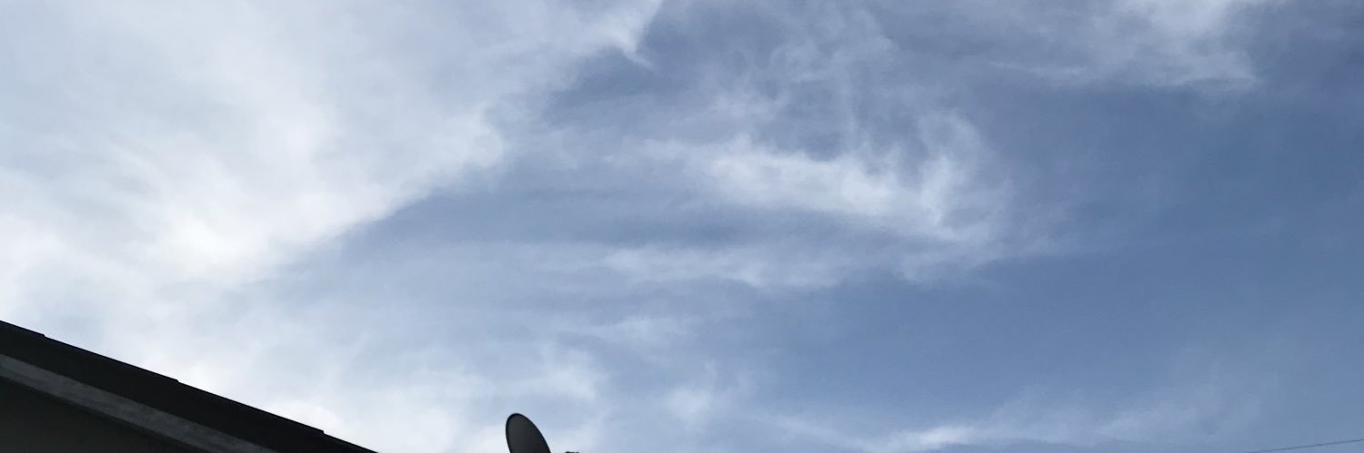 donkeystupid's profile banner image