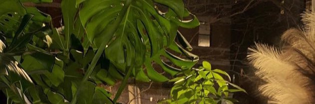 barnaclebabe's profile banner image